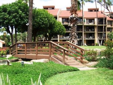 Wailea Condo 896112